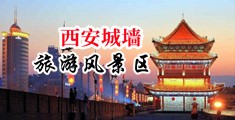 女生逼逼免费看的网站中国陕西-西安城墙旅游风景区